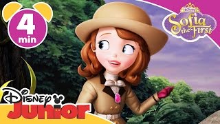 Sofia the First  Royal Vacation  Disney Junior UK [upl. by Ynamad]