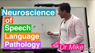 Neuroscience of Speech Language Pathology SLP [upl. by Richara824]