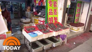 WHO Scientist Wuhan Wet Market Likely Played Role In Coronavirus Development  TODAY [upl. by Matronna448]