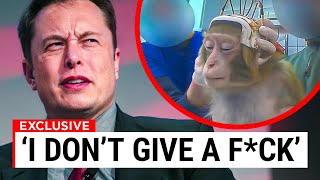 Elon Musk SUED For Testing Neuralink In Monkeys [upl. by Ahsyekal]