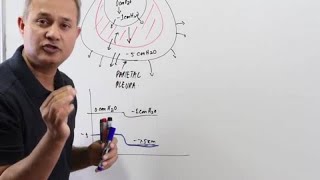 Positive Pressure Ventilation PPV [upl. by Ojibbob]