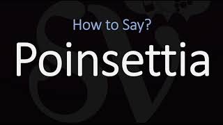 How to Pronounce Poinsettia CORRECTLY [upl. by Nealson]