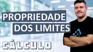 📚 Propriedade dos Limites  Cálculo 1 4 [upl. by Voltz]