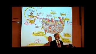 Male sterility in Plants [upl. by Skell]