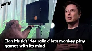 Elon Musks Neuralink lets monkey play games with its mind [upl. by Eillen]