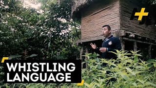 Indigenous Whistle Language In Mexico [upl. by Ainoek]