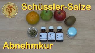 SchüsslerSalze Abnehmkur [upl. by Airekat]