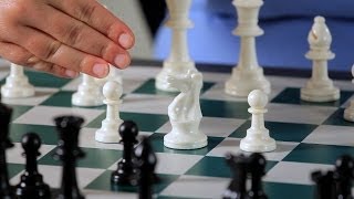 Basics of the Sicilian Defense  Chess [upl. by Ithnan]