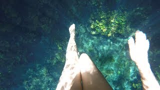 Carnival Paradise Cenote Hopping Excursion Cozumel [upl. by Eppilihp]