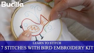 Learn 7 Embroidery Stitches with Bucilla Learn to Stitch Kit [upl. by Virendra]