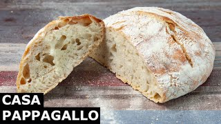 Come Fare Il Pane Senza Impasto [upl. by Paluas480]