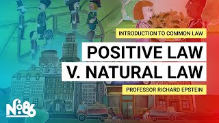 Positive Law v Natural Law Introduction to Common Law [upl. by Manuel]