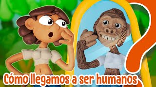 ¿Cómo evolucionó el Homo sapiens [upl. by Dyrraj560]