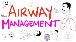 Airway Management  Tracheal Intubation  Anesthesiology Series [upl. by Koser]