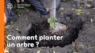 Comment planter un arbre [upl. by Aisile]