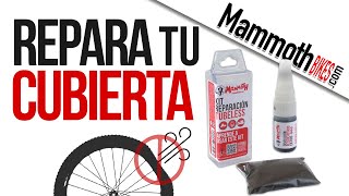 Cómo reparar una cubierta de bicicleta tubeless [upl. by Lapo]