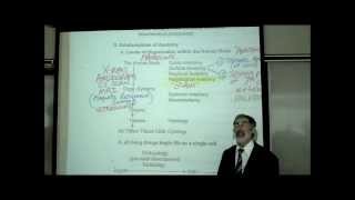 INTRO TO HUMAN ANATOMY by PROFESSOR FINK [upl. by Myrtia642]