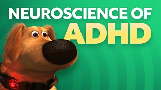 Neuroscience of ADHD [upl. by Bernice]