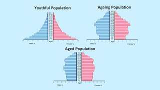 How to Read a Population Pyramid [upl. by Annwahsal94]