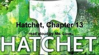 Hatchet by Gary Paulsen Chapter 13 [upl. by Mehetabel]