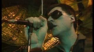 Front 242  No Shuffle Live 1985 [upl. by Hess]