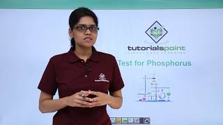 Class 11th – Qualitative Analysis  Test for Phosphorus  Organic Chemistry  Tutorials Point [upl. by Eseret]