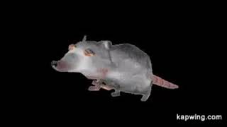 Rats Birthday Mixtape 10 hour version [upl. by Filip]