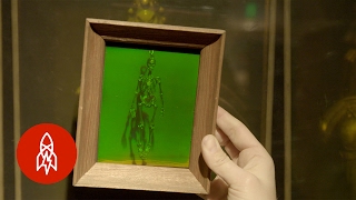 The LaserBased Science Behind 3D Holograms [upl. by Odraude]