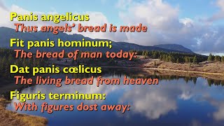 Panis Angelicus Bread of Angels with lyrics [upl. by Alper584]