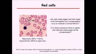 MDS 30 Section M Skin Conditions [upl. by Anson]