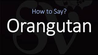 How to Pronounce Orangutan CORRECTLY [upl. by Tisman]