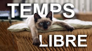 TEMPS LIBRE  PAROLE DE CHAT [upl. by Emirej]