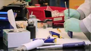 How to Calibrate Pipettes [upl. by Wing]