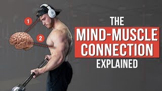 How To Use The MindMuscle Connection for Growth What The Science Says [upl. by Alol303]