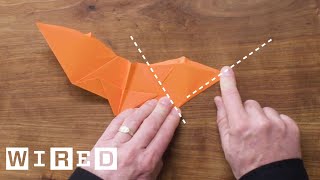 How to Fold Five Incredible Paper Airplanes  WIRED [upl. by Siednarb]