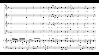 Mozart  Sancta Maria mater Dei K 273 [upl. by Iduj218]