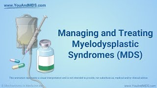 Understanding Myelodysplastic Syndromes MDS [upl. by Gerald]