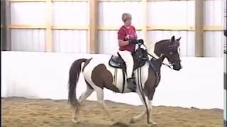 Locking Stifle Syndrome in the Gaited Horse [upl. by Berard]