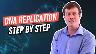 6 Steps of DNA Replication [upl. by Dinse]