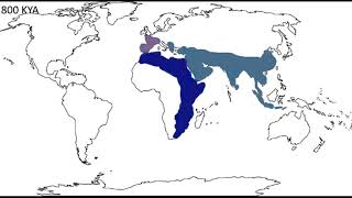 The Origin Of Homo Sapiens [upl. by Goodill]