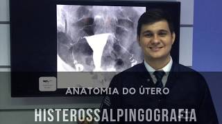 Anatomia do Útero  Histerossalpingografia  Radiologia Prática [upl. by Hen]