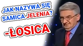 NAJLEPSZE ODPOWIEDZI NA TELETURNIEJACH 3 [upl. by Ravens350]