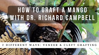 How to Graft a Mango Tree w Dr Richard Campbell [upl. by Nivrad]