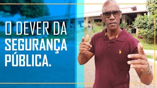 O Que é Segurança Pública [upl. by Mata]