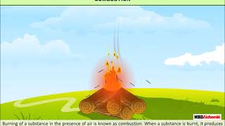 Combustion and Flame  Combustion  Class 8 [upl. by Eannej953]