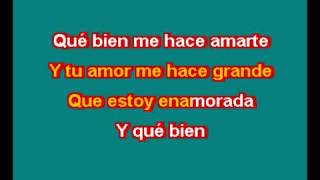 THALIA ESTOY ENAMORADO KARAOKE [upl. by Ietta19]