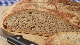 No Knead Rye Bread Recipe Demonstration  Joyofbakingcom [upl. by Adnole]