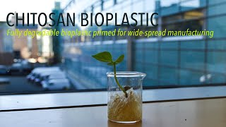 Chitosan Bioplastic [upl. by Normi]