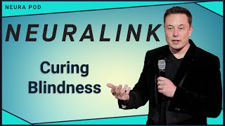 How Neuralink Will Solve Most Blindness [upl. by Hayne]