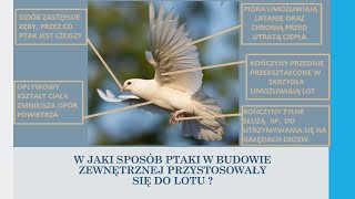 Ptaki  kręgowce zdolne do lotu biologia szkoła podstawowa [upl. by Aivatnuahs782]